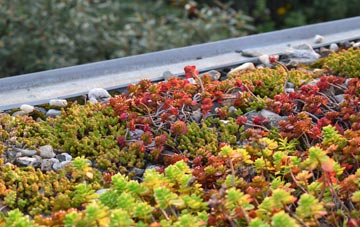 the cost of Bullinghope green roof installation