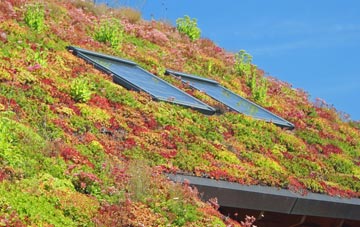 Bullinghope living roof systems